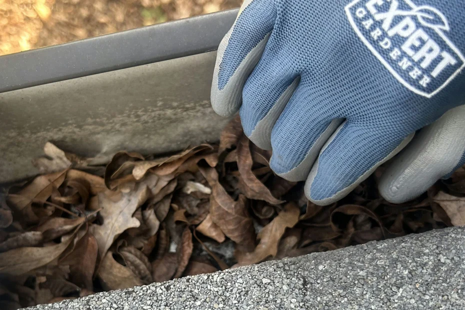 Gutter Cleaning Southlake TX